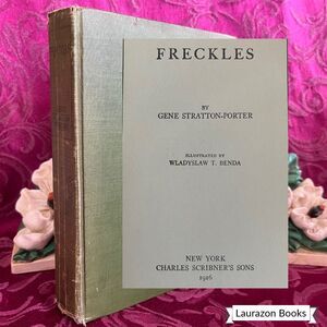 1916 Freckles by Gene Stratton-Porter, Illustrated Antique Book, Scribner